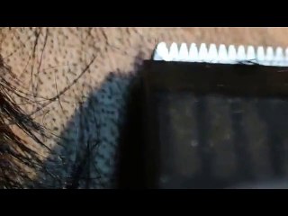 sound of clippers closeup buzz