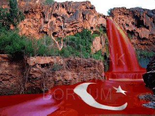 HERŞEY SENİN UĞRUNA & EDİP AKBAYRAM