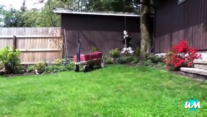 Erkeklerin Cinsel Organlarına Aldıkları Tehlikeli Darbeler