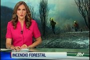 Incendio forestal en Chimborazo