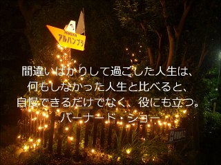 中村虎彰（起業アドバイザー）の光る名言集～バーナード・ショー～