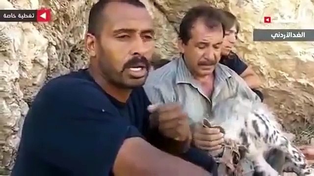 la chasse de la lienne dans une grotte par les jordaniens