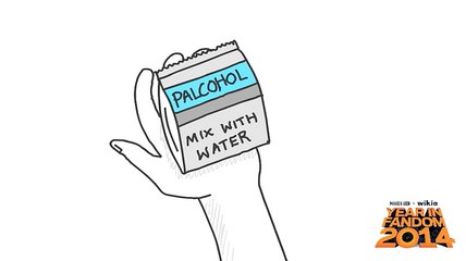 PALCOHOL - Year In Fandom 2014