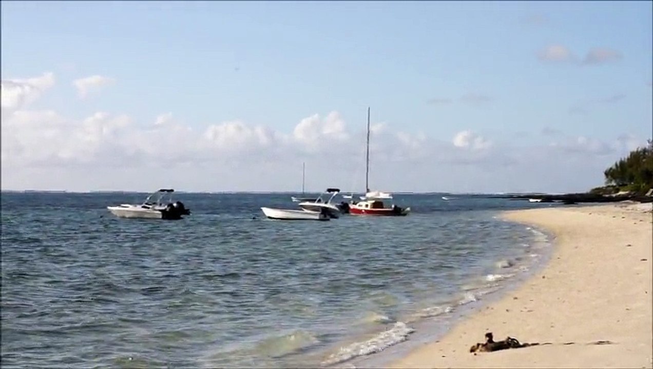 Vidéo n°1