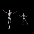 Skeleton Dance Like A Arab Dancing