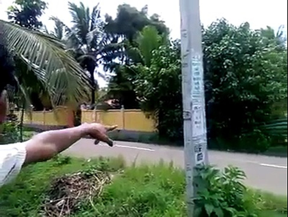 Failed stunt end up with an Accident
