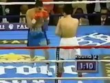Julio Cesar Chavez vs Giovanni Parisi  1995-04-08
