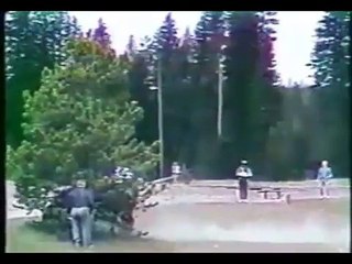 Footage of an attack on the rights of animals لقطات لهجوم الحيوانات على الانسان