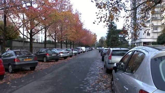 MICHOU64 W-D.D. PROPOSE UNE IDEE POUR MA VILLE - 25 NOVEMBRE 2014 - UNE AIRE DE STATIONNEMENT ÉCOLOGIQUE SUPPLÉMENTAIRE..