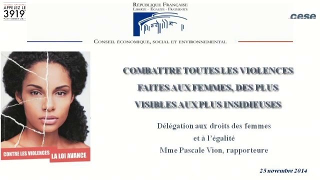 Séance du cese : Combattre toutes les violences faites aux femmes - cese