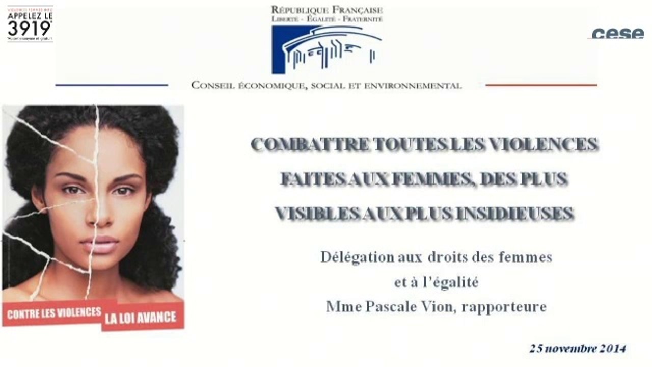 Séance du cese : Combattre toutes les violences faites aux femmes - cese