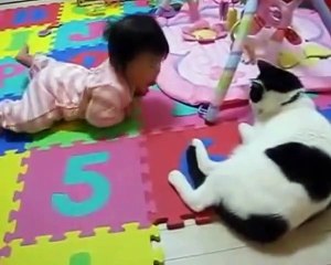 Cats And Babies- Funny Video- Cute Babies