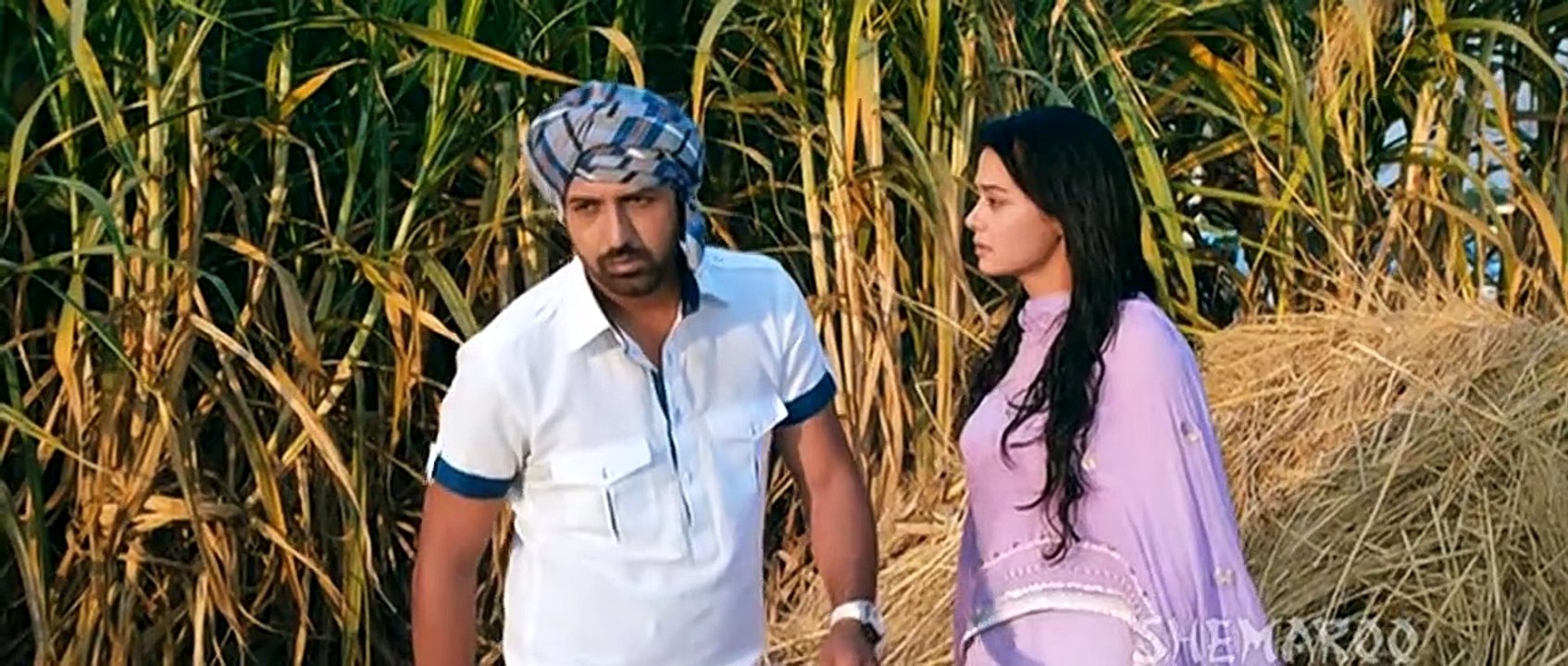 zakhmi hai dil shair da