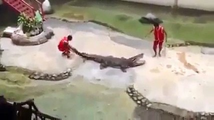 Man Fighting With Crocodile