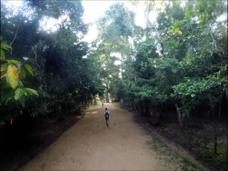 Big araignée - Siem Reap - Cambodge