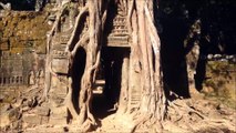 Enorme banian dans la roche - Siem Reap - Cambodge