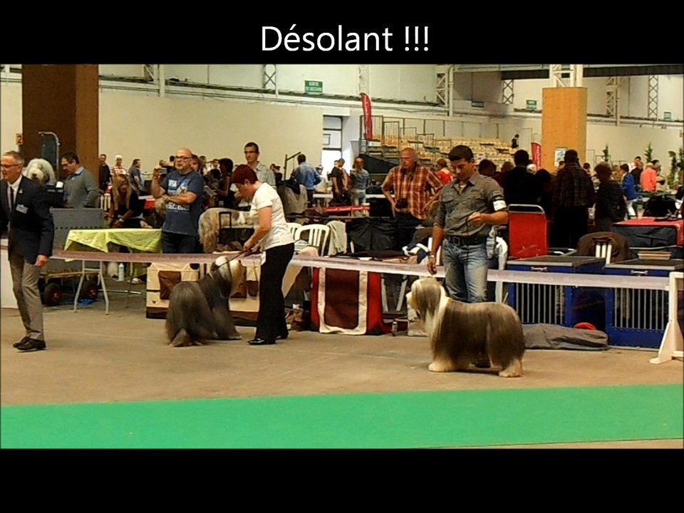 Mettre un coup de brosse (nouvelle version...) lol