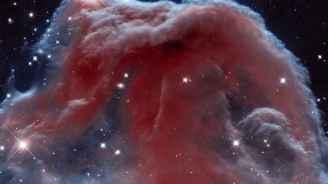La nébuleuse à tête de cheval, une nurserie d’étoiles