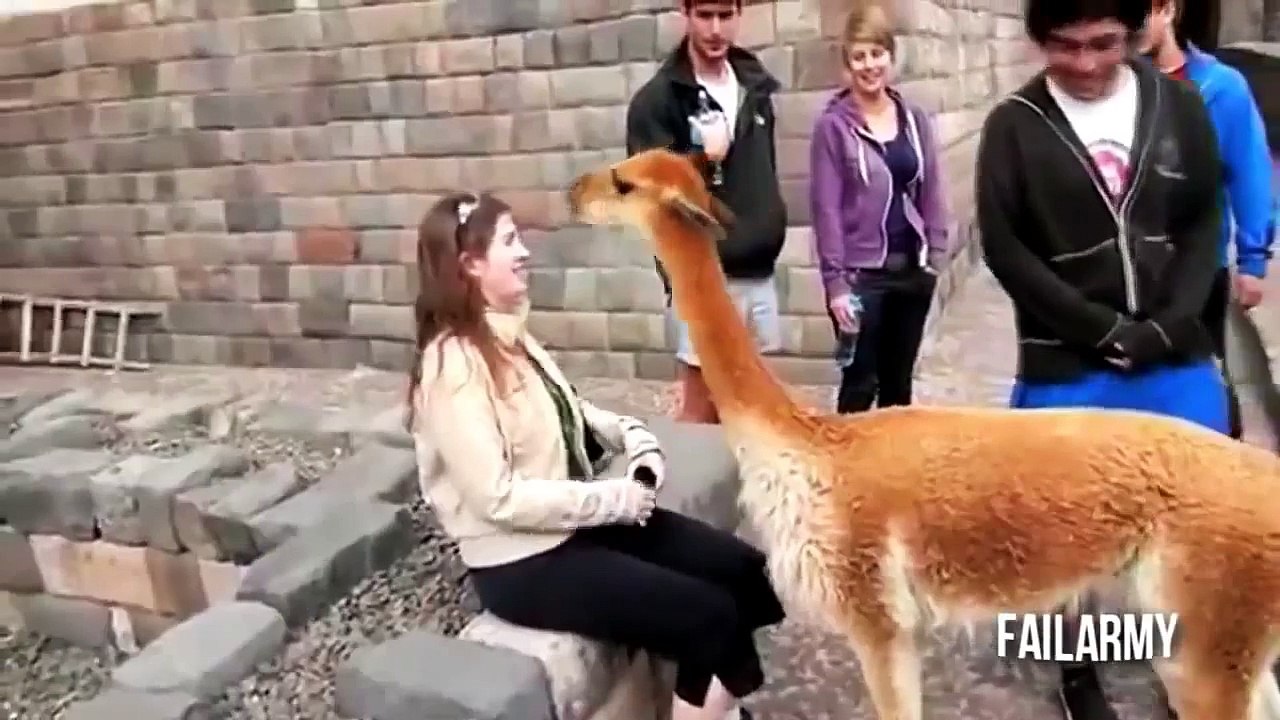 animal attack caught on video
