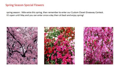 Season Wise Special made Flowers to India - Myflowergift