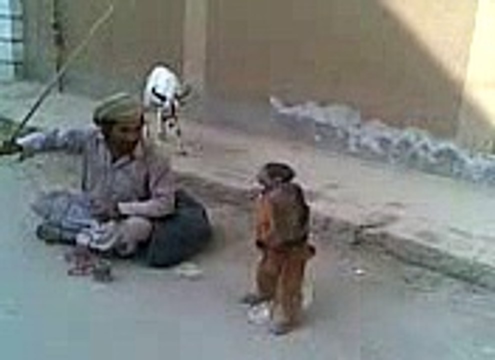 amazing monkey tricks