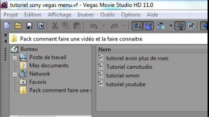 Sony vegas, généralités