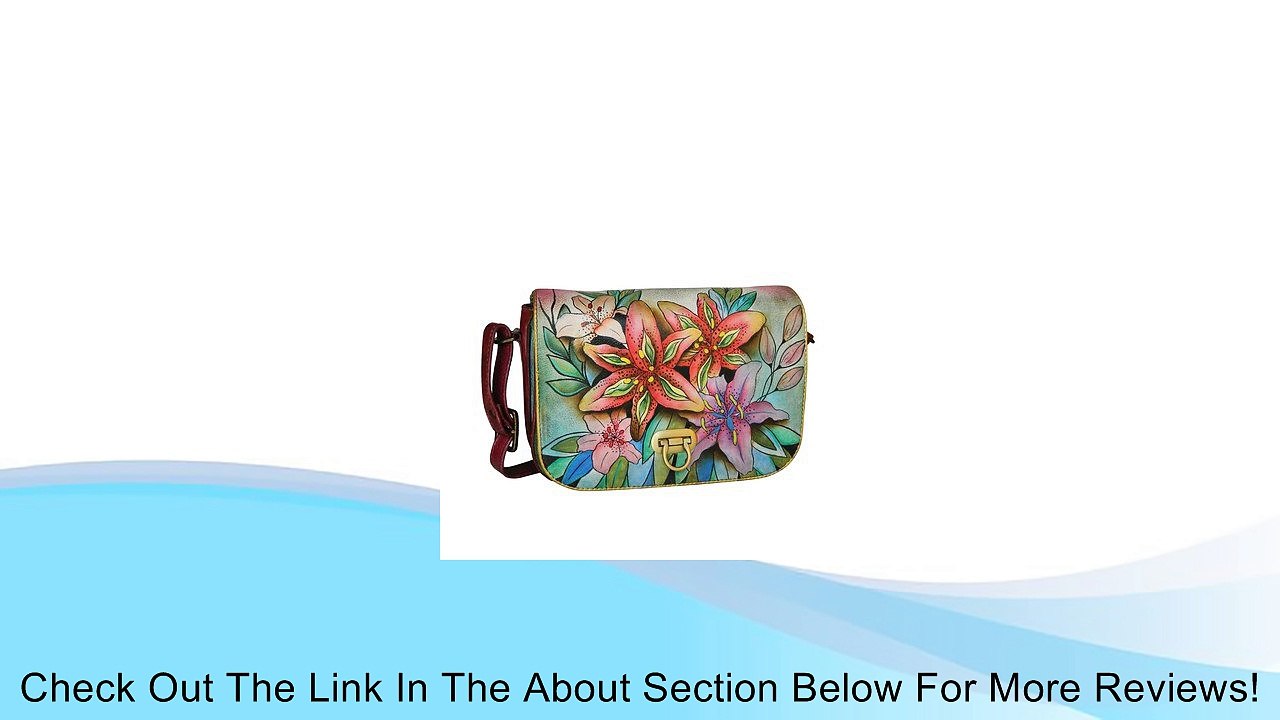 Anuschka 512 Hand Bag Review