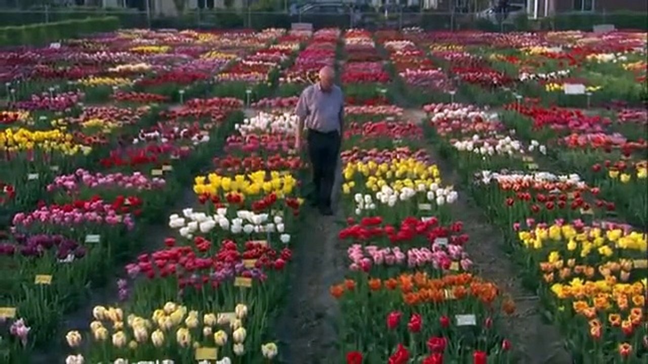 The Botany of Desire Part 01 video Dailymotion