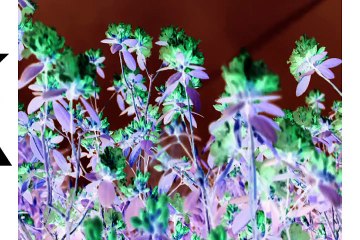 Minnat Karta Hu [DJMaza.Info]