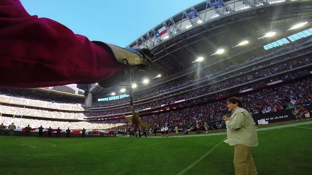 GoPro Eagle in a stadium