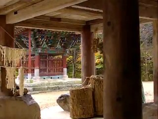 MBN 뉴스장안오피걸 [청주오피걸56목포오피걸267]