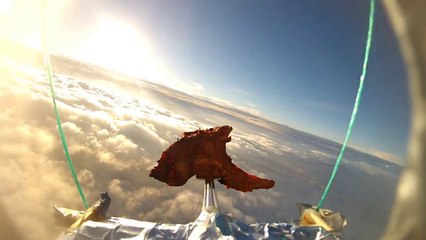 ¡Una chuleta de cordero tandoori al espacio!