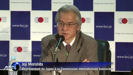 Tokyo assure chasser la baleine pour des raisons scientifiques