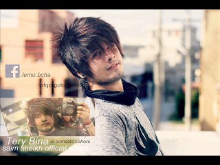 Tery bina saim sheikh