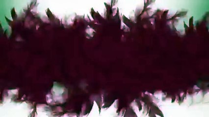 #Automation % Test &Egest 1.64.smk