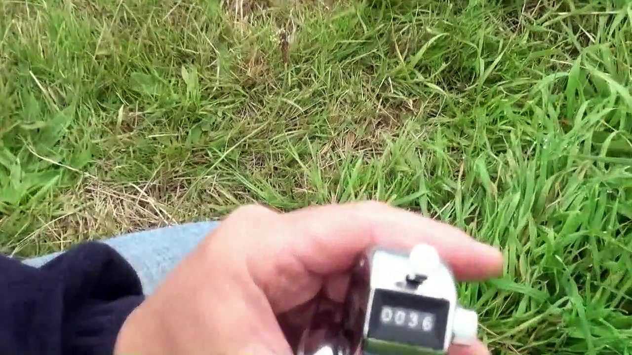 chapitre  5 samedi  Championnat de France de pêche au coup 2014 chapitre  2