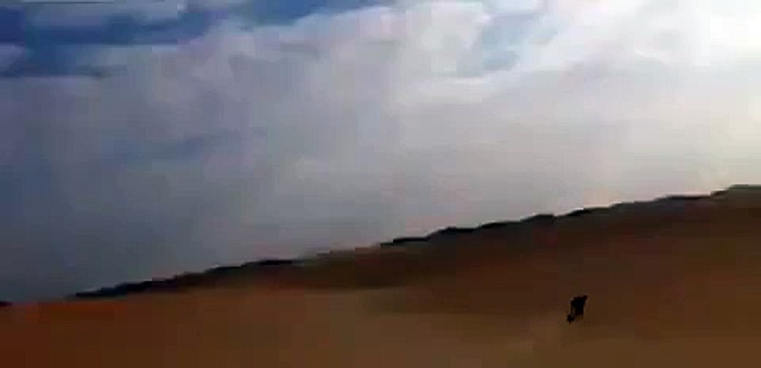 Course poursuite dans le désert