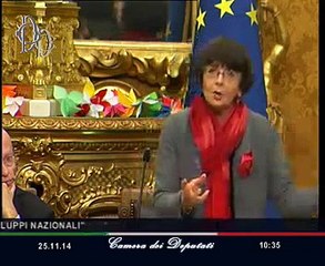 Roma - La violenza sulle donne in Italia - Sereni (25.11.14)