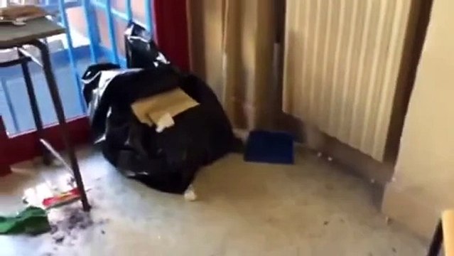 Napoli - Raid vandalico alla scuola 'Galiani', rubati computer e lavagne -live- (25.11.14)