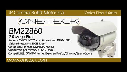 Servizi di videosorveglianza in Italia