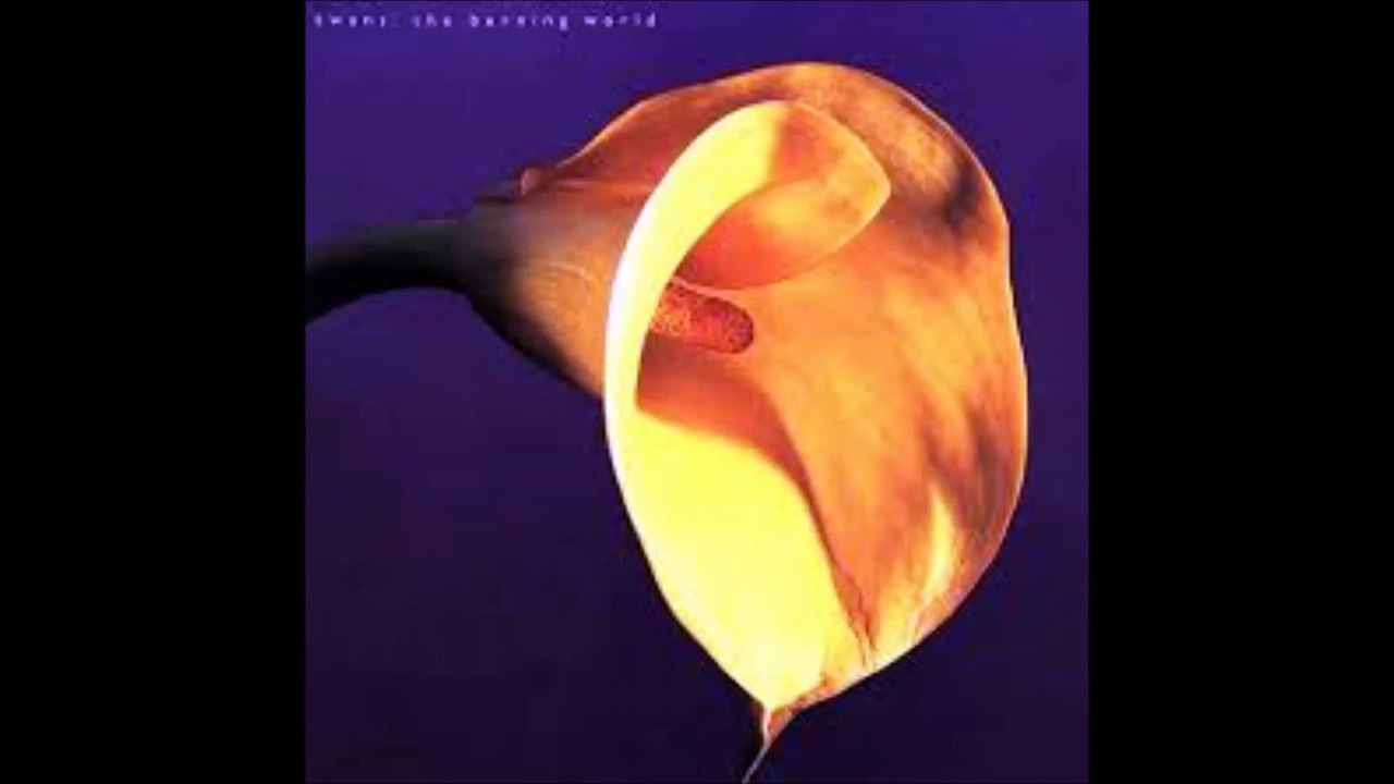 SWANS - (She`s a) Universal Emptiness