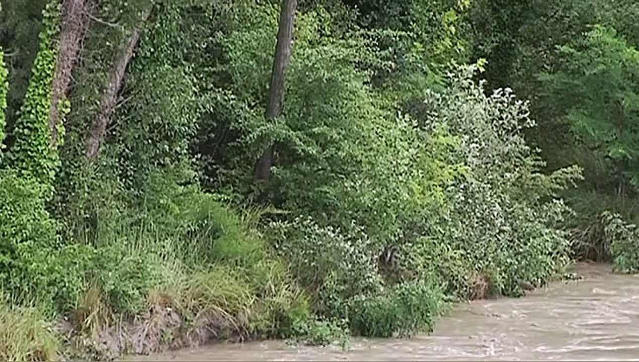 WIKHYDRO - La problématique d'érosion de la Camargue