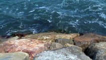 WIKHYDRO - Les ouvrages de protection du littoral des Saintes-Maries de la Mer