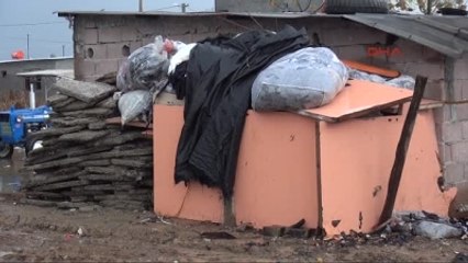 Üzerine Odun Devrilen Küçük Çocuğun Kalbi Durdu