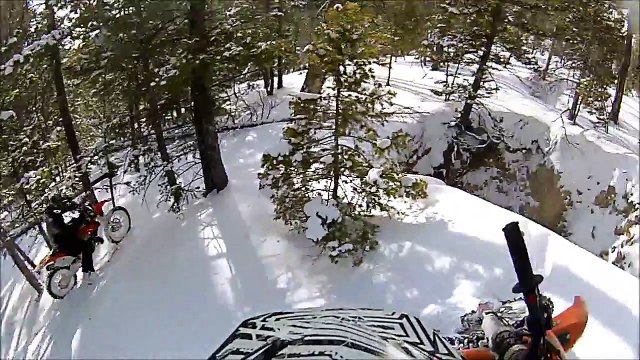 Une surprise lors d'une balade à moto dans les bois