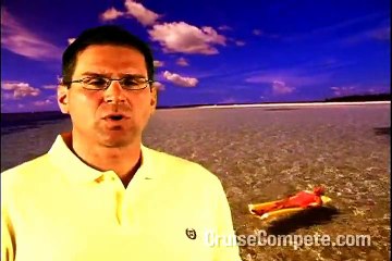 Tips to Make Tipping Easier on Cruises By CruiseCompete.com