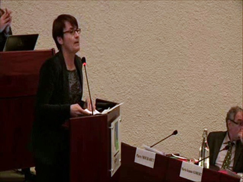 Gaëlle Pioline - Débat d'orientations budgétaires 2015