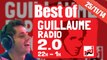 Best of vidéo Guillaume radio 2.0 du 25/11/2014