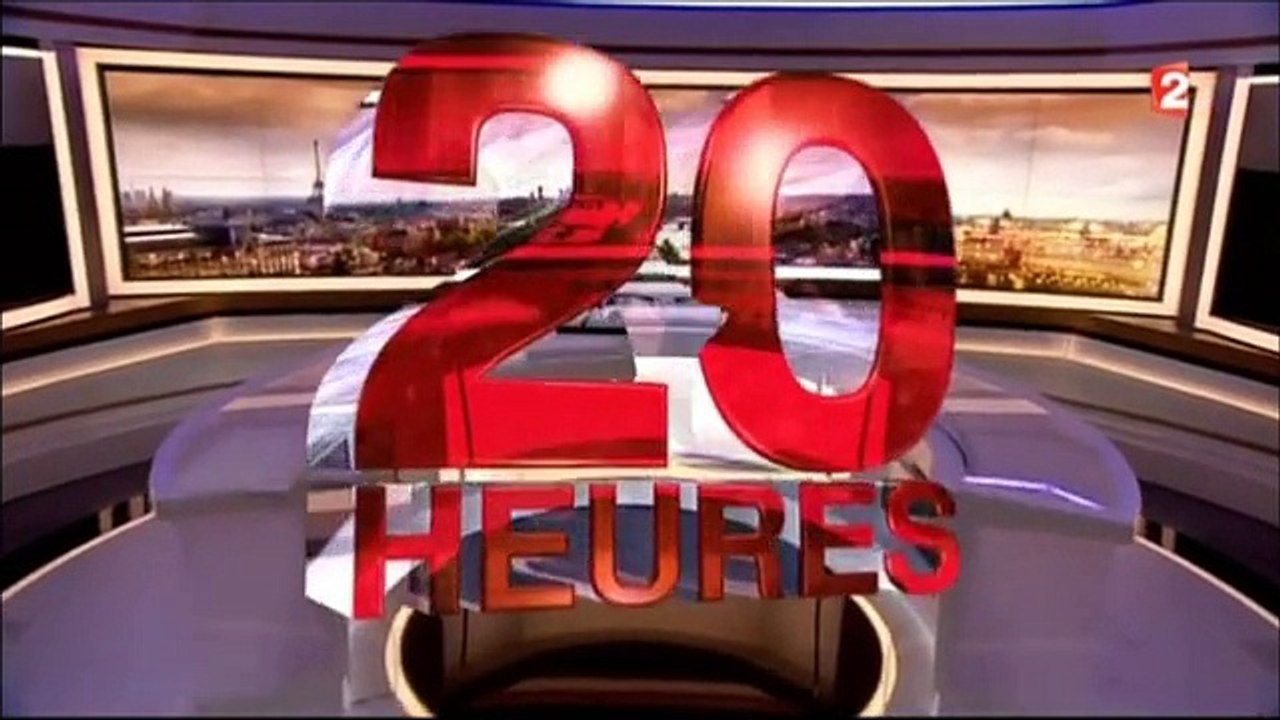 Extraits du journal de 20 h France 2 le 25 11 201
