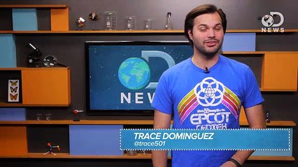 Why Koalas Sound Like Barry White - Bing Videos